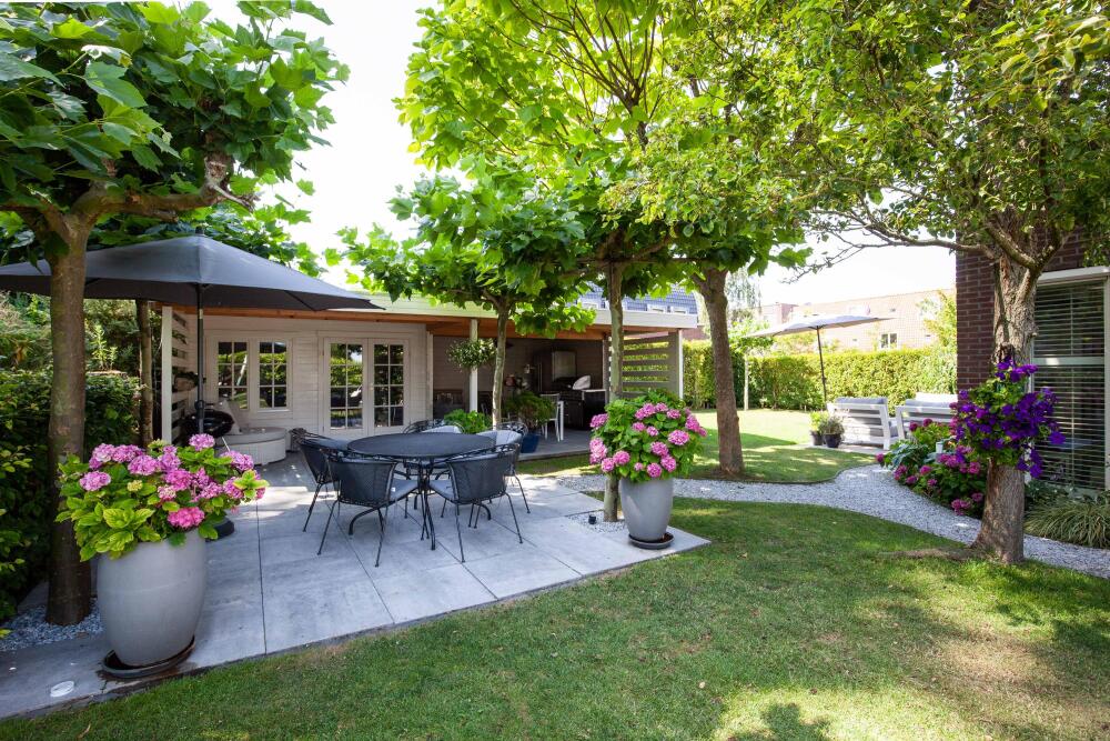 Foto 56 1000w
