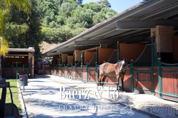 photo 191 Villa - Marbella Club Golf Resort - Benahavis - Ref: 7736