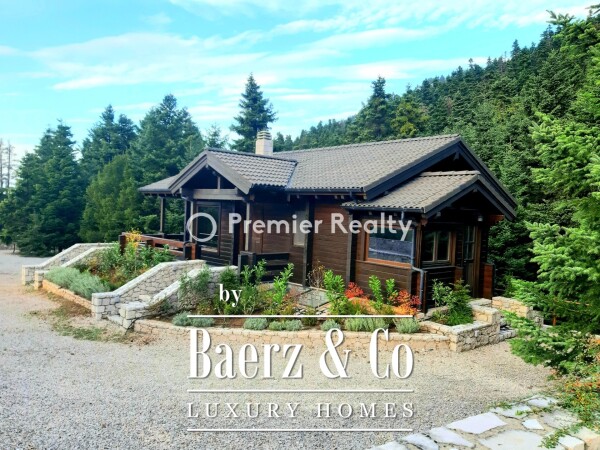 photo 21 950495 - Chalet | Eptalofos, Parnassos, 480 sq.m.