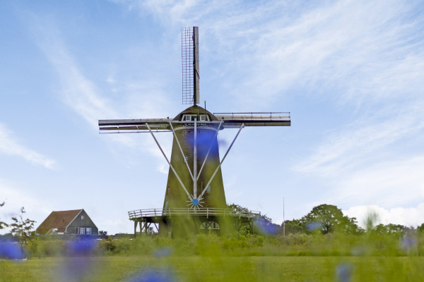 photo 33 Diepenheimseweg 25 a