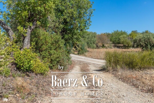 photo 16 Beautiful luxury home in Santa Catarina da Fonte do Bispo, Countryside