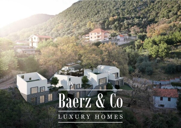 photo 4 Villa with a Pool in Boka Bay