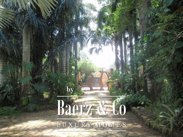 photo 25 A piece of art in the city.  A private enclave in premium neighborhood