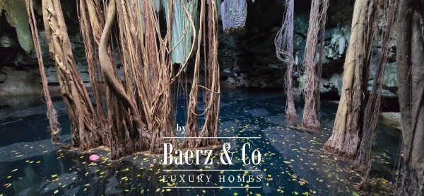 photo 29 18th Century Hacienda with Cenote and 403 acres!