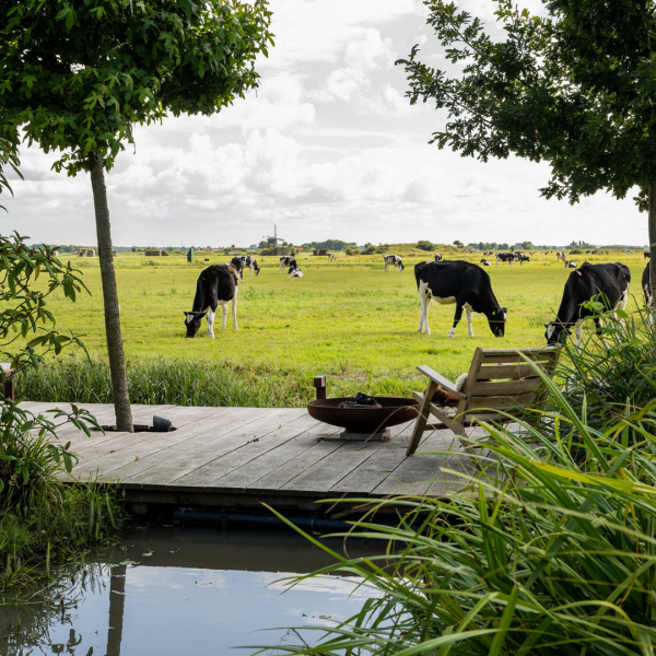 photo 25 Groene Hof 3