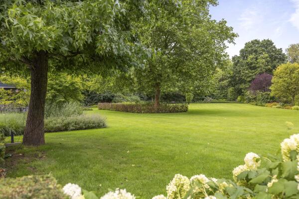 photo 24 Dennendijk 6