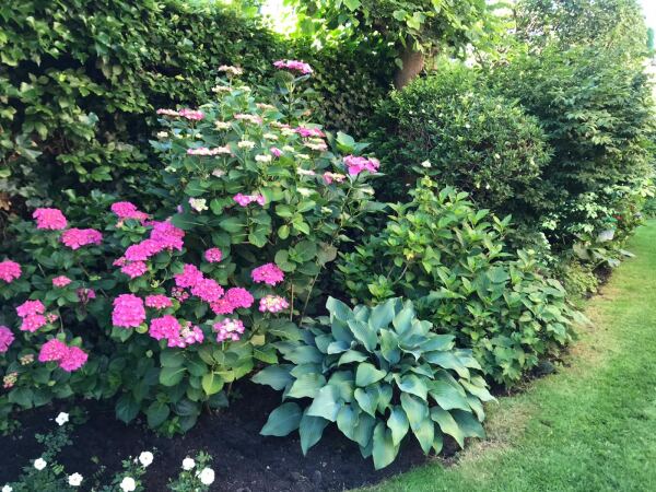 photo 25 Lijsterlaan 2 b