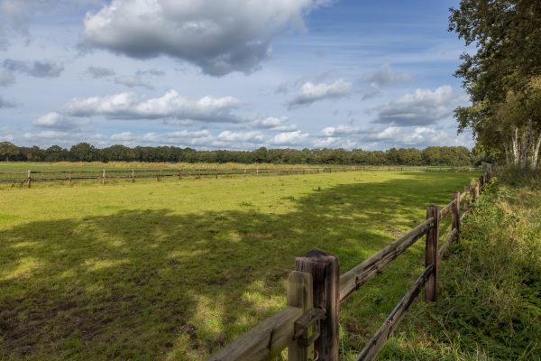 photo 66 Boterhurken 12