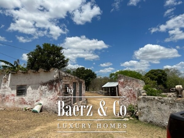 photo 16 Sudzal carretera a Tzalam, Km 7 