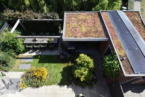 photo 66 Juttepeer 35