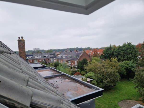 photo 45 Prins Bernhardlaan 53