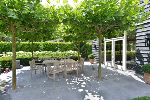 photo 43 Ameroever 64