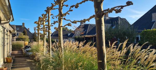 photo 58 Valentijnsingel 16