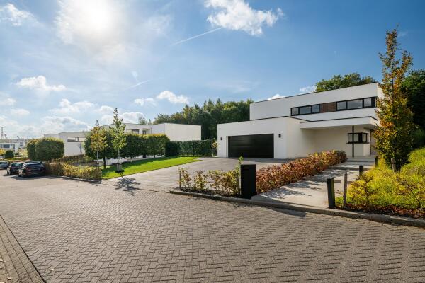 photo 48 Koningskaars 20