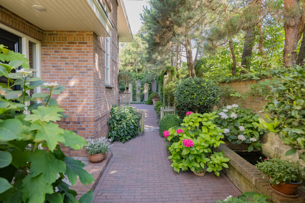 photo 62 Dennenweg 8