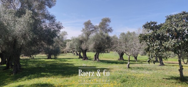 photo 9 Catalan-Style Country Estate – A Unique Historic Gem for sale