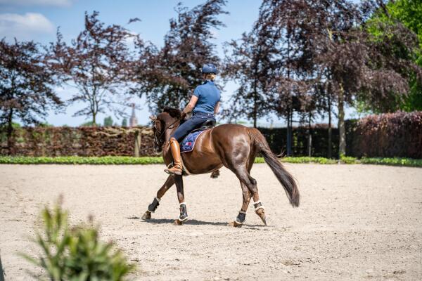 photo 46 Kapelstraat 12 14