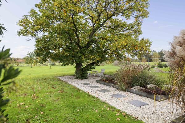 photo 19 Hardermaat 12