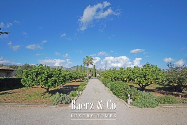 photo 16 Exclusive Wine Estate with Bodega, Olive Grove and 10 Hectares of Private Forest