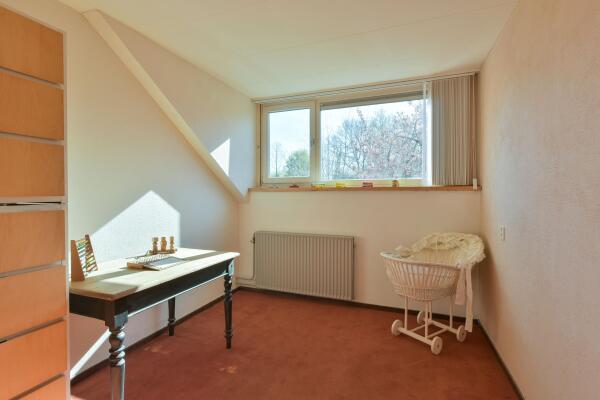 photo 20 Parel 4
