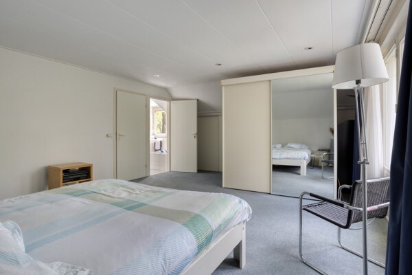 photo 45 Zilvermos 2