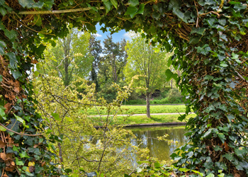 'S-GRAVENHAGE